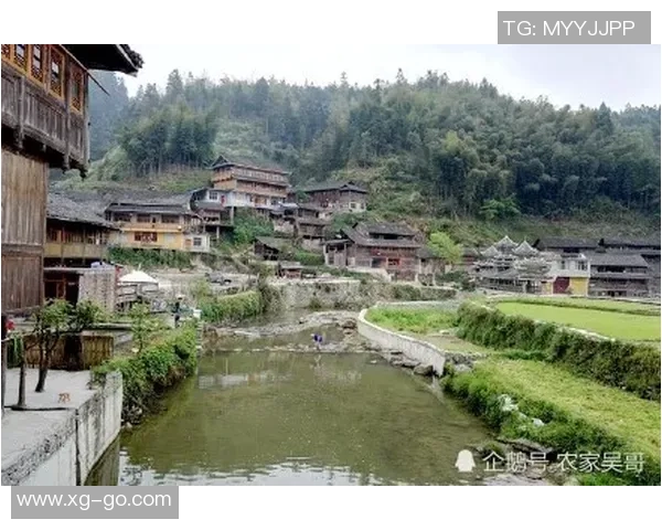 三板桥、八寨、洪山,取胜! 三板桥、八寨、洪山,取胜!